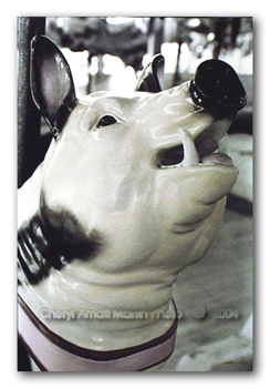 carrousel03